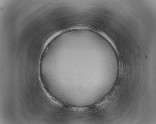 X0000087050861200705091134