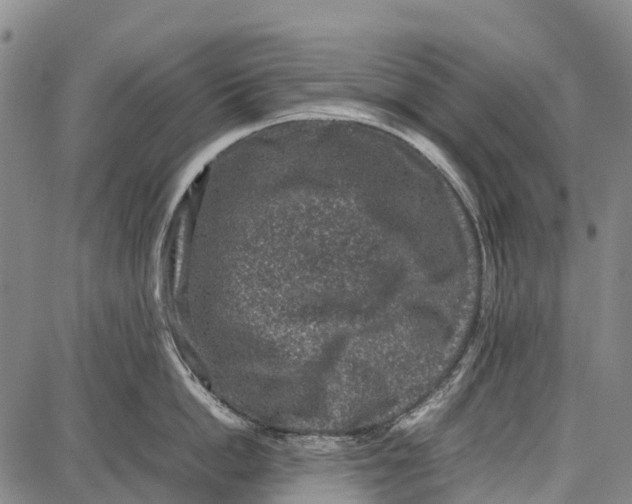 X0000087050862200705091134