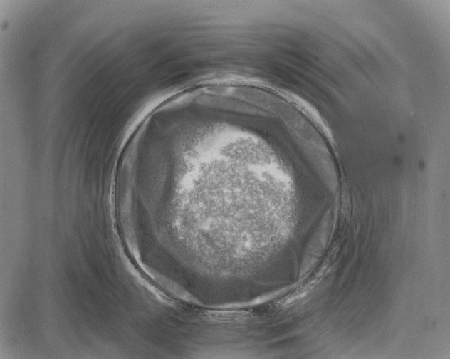 X0000087050863200705091134