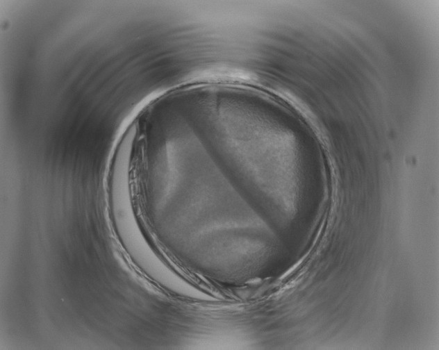 X0000087050864200705091134