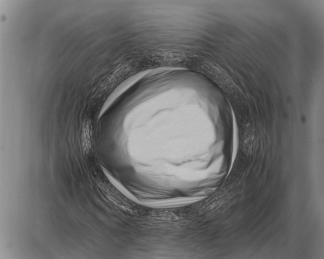 X0000087050866200705091133