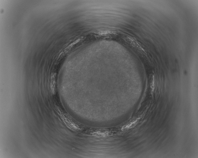 X0000087050868200705091133