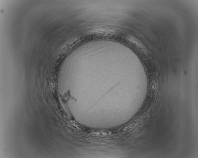 X0000087050869200705091133