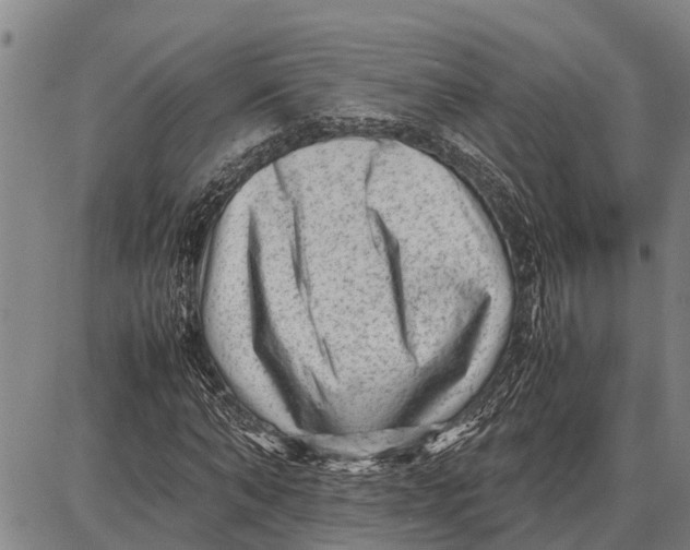 X0000087050870200705091133