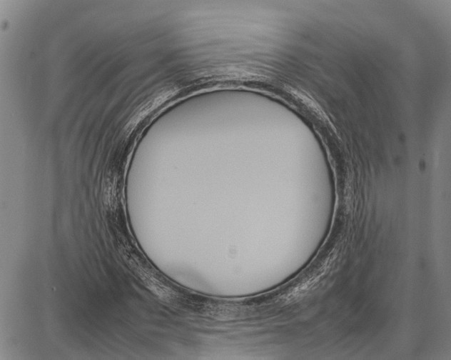 X0000087050873200705091133