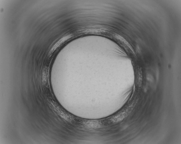 X0000087050874200705091133