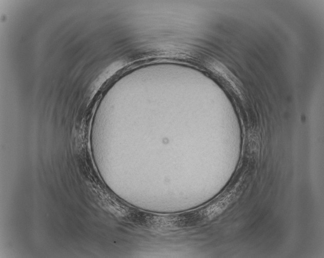 X0000087050875200705091133