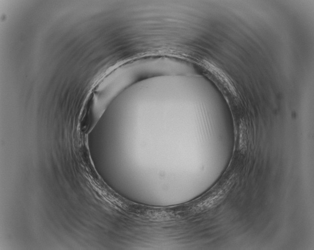 X0000087050876200705091133