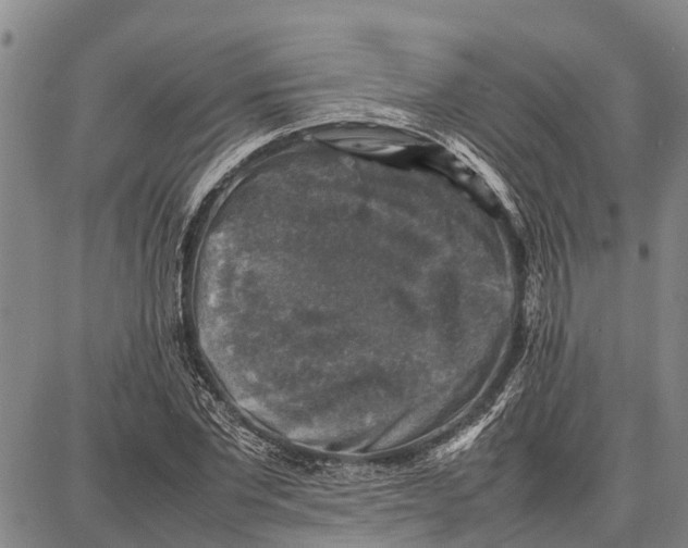 X0000087050877200705091133