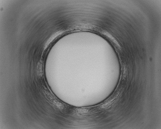 X0000087050878200705091133