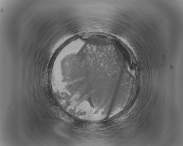 X0000087050879200705091133