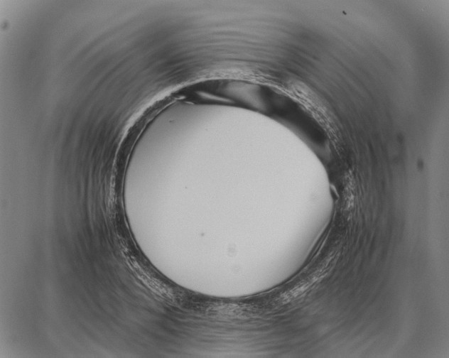 X0000087050880200705091133