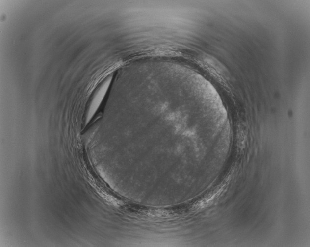 X0000087050881200705091133