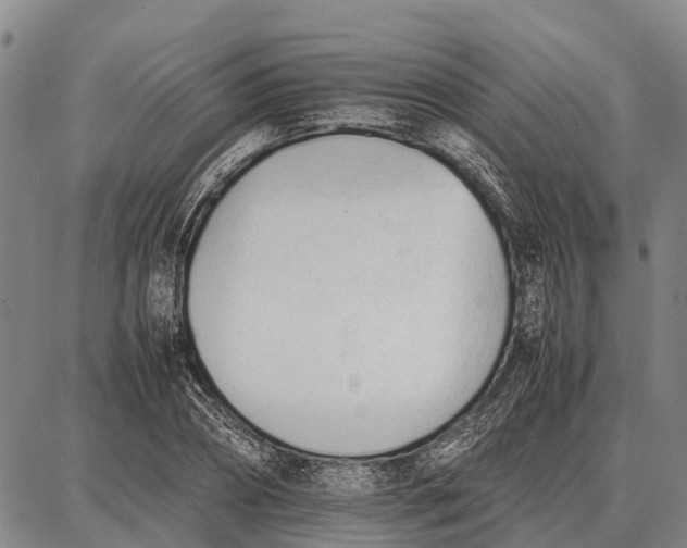 X0000087050882200705091133