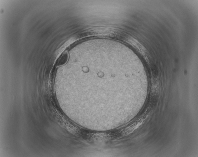 X0000087050883200705091133