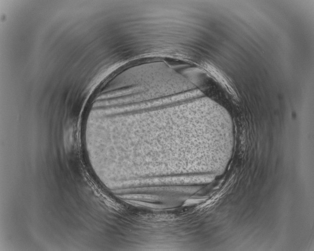 X0000087050884200705091133