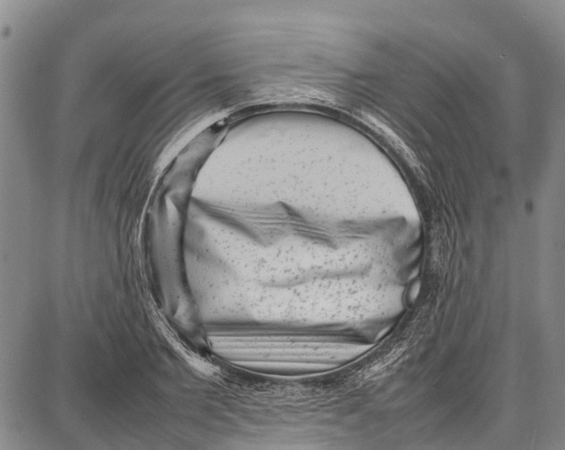 X0000087050885200705091133