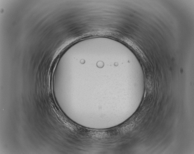 X0000087050886200705091133