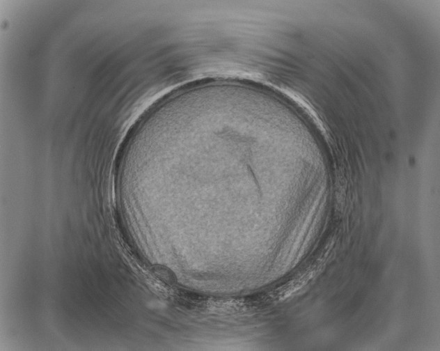 X0000087050887200705091133