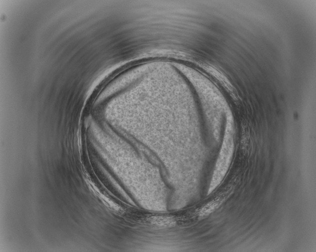 X0000087050888200705091133