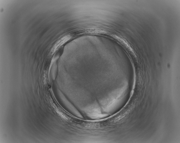 X0000087050889200705091133