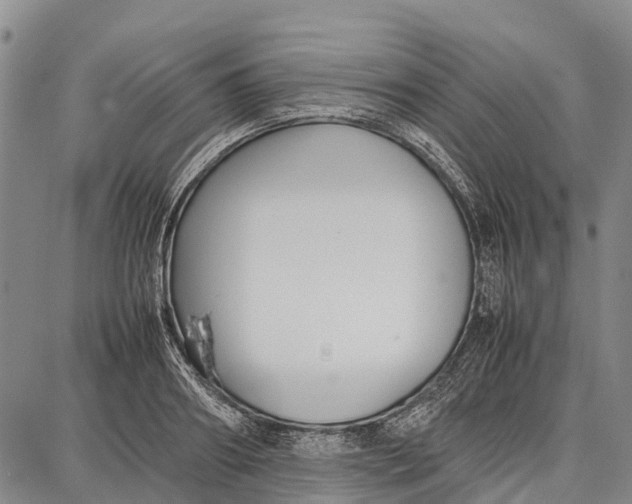 X0000087050890200705091133