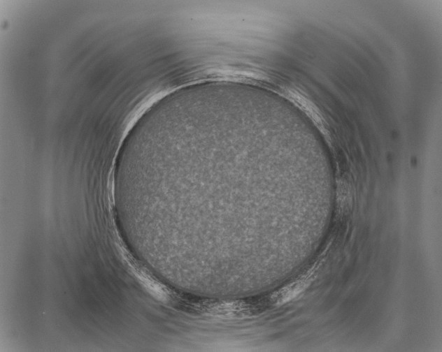 X0000087050891200705091133