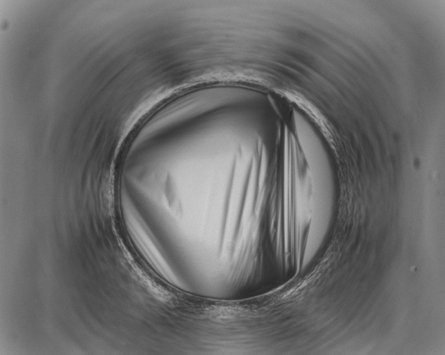 X0000087050894200705091133