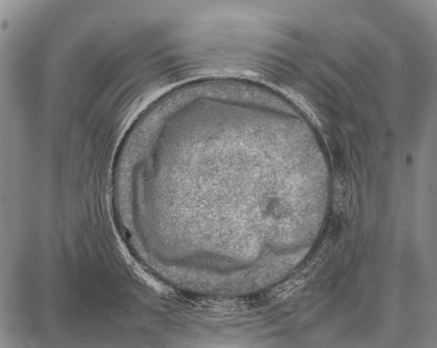 X0000087050895200705091133