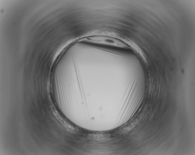 X0000087050896200705091133