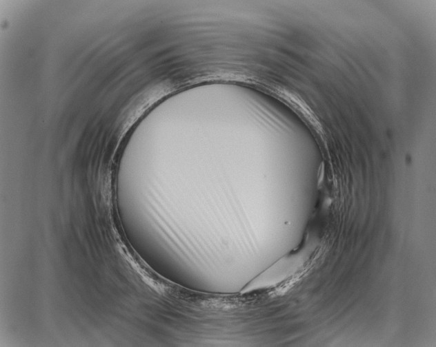 X0000087050898200705091133