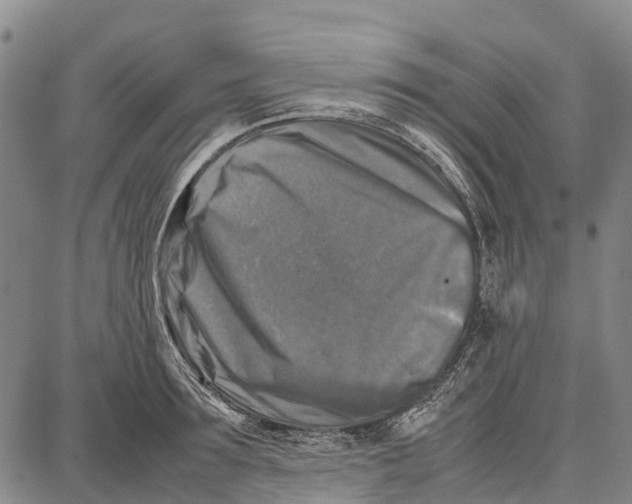 X0000087050899200705091133