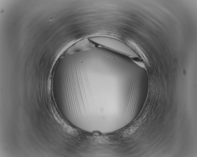 X0000087050900200705091133