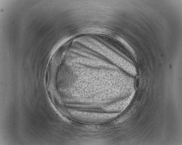 X0000087050901200705091133