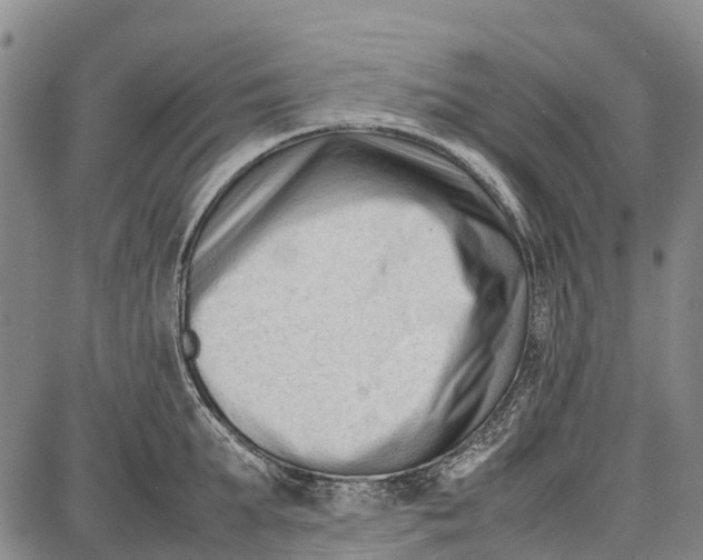 X0000087050903200705091132