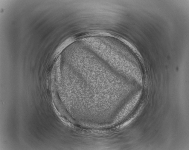 X0000087050905200705091132