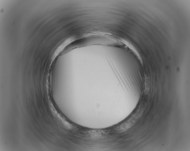 X0000087050906200705091132