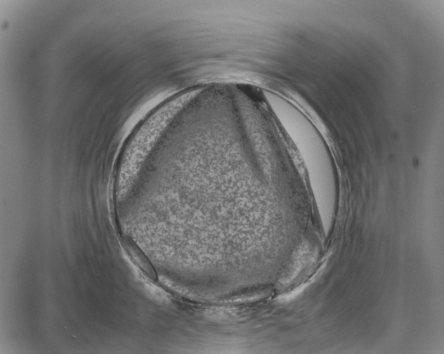 X0000087050909200705091132