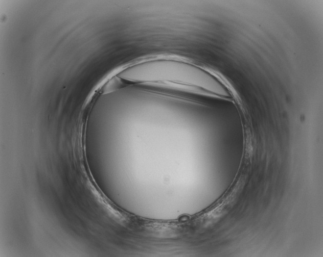 X0000087050910200705091132