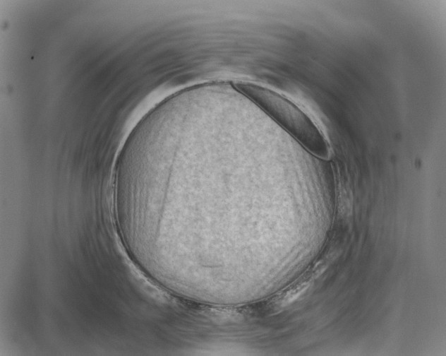 X0000087050911200705091132