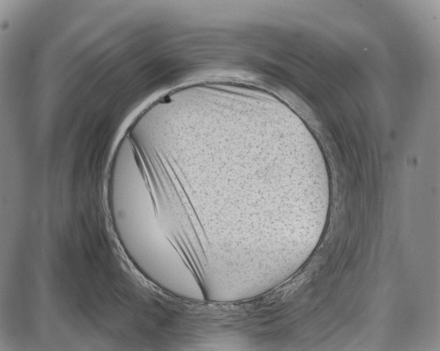 X0000087050912200705091132