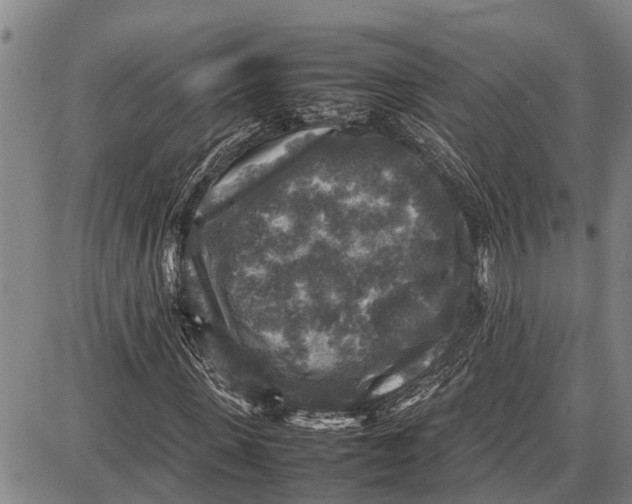 X0000087050915200705091132