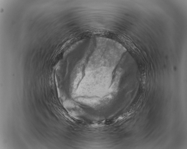 X0000087050916200705091132