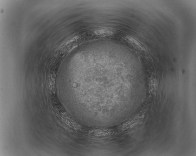 X0000087050917200705091132