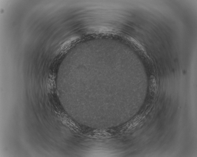 X0000087050918200705091132