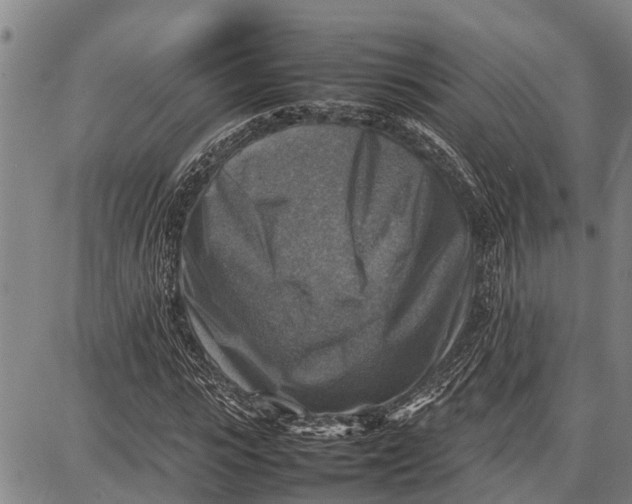 X0000087050919200705091132