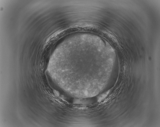 X0000087050920200705091132