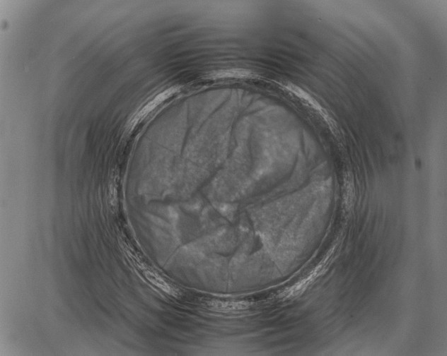 X0000087050921200705091132