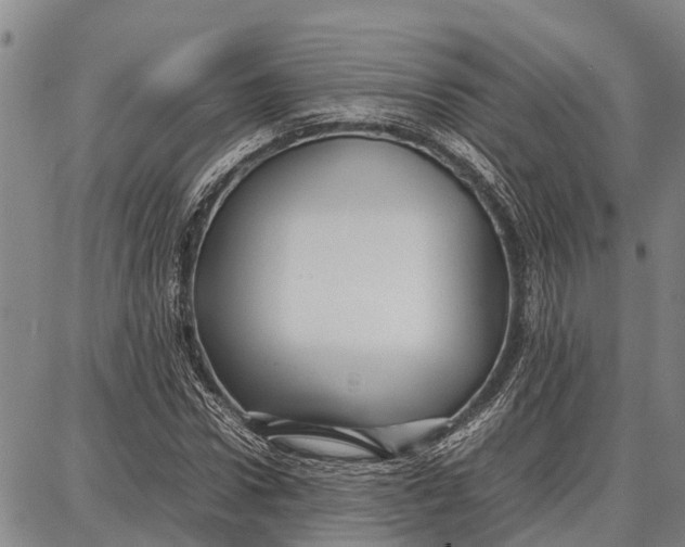 X0000087050922200705091132