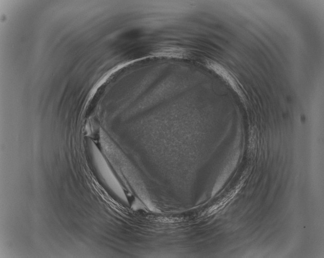 X0000087050923200705091132